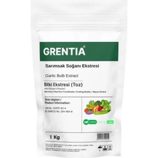Sarımsak Soğanı Ekstresi (Toz Ekstrakt) 1 kg