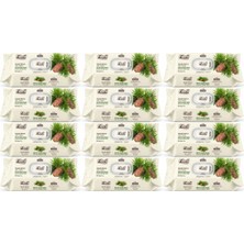 Fibril Islak Havlu Mendil 90 Yaprak Mistik Sedir Ağacı Plastik Kapaklı (12 Li Set) 1080 Yaprak