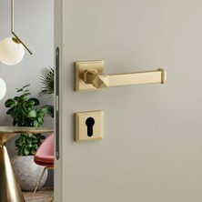 Elovias System Kayla Rozetli Kapı Kolu Gold Brance Renk (HA224RO17 GB)