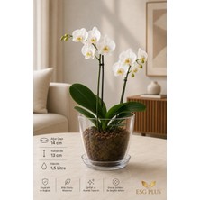 Şeffaf Orkide Saksısı 14 cm Drenaj Delikli 1,5 L Tabaklı Plastik Saksı