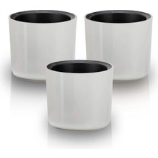 3 Adet Mimoza 7cm Beyaz 0,2 Litre Mini Boy Kaktüs Sukulent Saksısı Süzgeçli Minik Parlak Saksı 7 cm