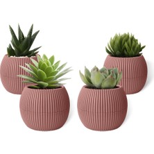 4 Adet 0.15 Litre Soft Pembe Mini No1 Kaktüs Sukulent Saksısı Minik Plastik Saksı 88X68MM