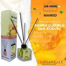 Odea Mango Bambu Çubuklu Oda Kokusu 100 ml Cam Şişe