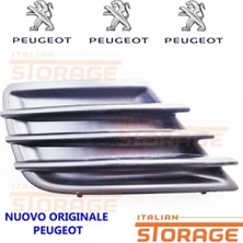 BSG Psa 207 2007- Ön Tampon Bandı Oem No (7452ZS)