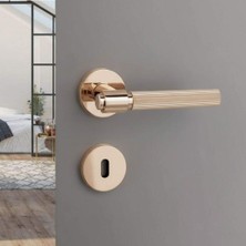 Elovias System Axes-L Kapı Kolu Rose Renk (HA213RO12 RS)
