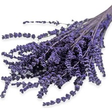 Mythriva Kurutulmuş Lavanta Demeti 40-50 cm 3 Adet 200-300 Dal