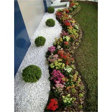 Mythriva Ekodoğa Beyaz Dolomit Taş 15 kg 1,5-2 cm Bahçe Taşı Dekoratif Dere