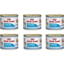 Mythriva Royal Canin Starter Mousse Anne ve Yavru Köpek Konserve Maması 195GR x 6 Adet