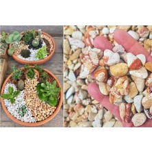 Mythriva Tr Asenya Sarı Renkli Dolomit Taş 10 kg 1-2 cm Sarı Çizgili Bahçe Taşı Süs Taşı Akvaryum Taşı Teraryum Taşı