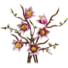 Zenviaa Mey Ithalat® Botanicals Manolya Dalları 11510 ZNV20296545
