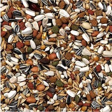 Odea Papağan Yemi 2.5 kg - Tropikal Karışım