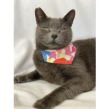 Odea Kedi Fular ve Bandana - Şık Kedi Kıyafeti ve Tasma Kombini