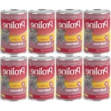 Odea Yetişkin Kedi Konservesi, Somonlu 400 G, 8 Adet