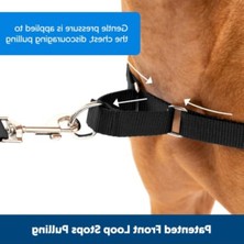 Odea L Boyutunda Premier Easy Walk Köpek Koşum Takımı, Siyah/gri