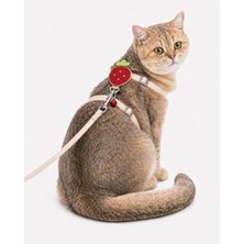 Odea Ayarlanabilir Zilli Kedi Göğüs Tasması ve Kayışı Seti