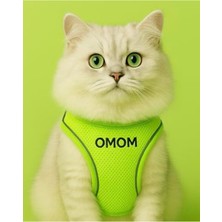 Odea Kedi Gezdirme Tasması, Esnek, Fosforlu Yeşil Renk