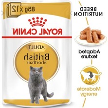 Odea Royal Canin British Shorthair Adult Pouch Yetişkin Kedi Konservesi 85 gr