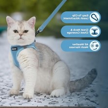 Odea Voyager Step-In Air Köpek Koşum Takımı -  Küçük ve Orta Ölçekli Köpekler Için Yelek Koşumunda Tüm Hava Mesh Basamağı - Koşum Takımı (Bebek Mavisi), Xx-Small, 207-BBW-XXS