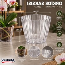Odea Şeffaf Mini Orkide Saksısı-Dekoratif Şık Ev Balkon Çiçek Saksısı 95X85MM