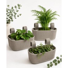 Odea Krem Renkli 3'lü Modern Balkon Saksısı - 3,2 Litre Kapasite
