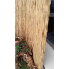 Odea Bambu Çit Kamış Hasır 1x5 Metre Eni 1 Uzunluk 5 Bahçe Çiti Rulo Çok Renkli x