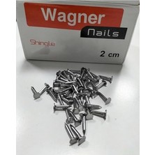 Odea Atasoyticaret Şıngıl Çivisi Shingle Çivi Çatı Membran Çivi 2 cm (500GR)