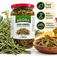 Agora Kaya Koruğu