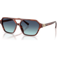 Tiffany&Co. Tıffany & Co. 0TF4264U 84409S 58