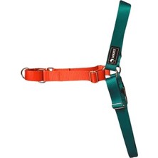 Odea Easy Walk Önden Çekmeli Göğüs Tasması (S, Orion)
