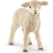 Odea Schleich Kuzu