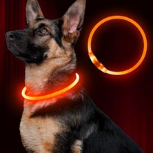 Odea LED Köpek Tasması, USB Şarj Edilebilir, Gece Güvenliği Için Parlayan Evcil Hayvan Köpek Tasması, Küçük Orta Büyük Köpekler Için Moda Işıklı Yaka (Turuncu)