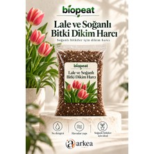 Biopeat Lale ve Soğanlı Bitki Dikim Harcı 3 Litre | Saksıda Soğan Dikimi Için Ince Harç