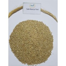 Odea Sade Kanarya Yemi Aspur 1 kg