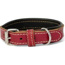 Odea Rainbow Xs Hakiki Deri Küçük Köpek Tasması – Xs Beden, Küçük ve Mini Köpekler Için Tasma, Yumuşak Iç Deri, Krom Kaplamalı Toka & D-Halka, 7 Farklı Renk Seçenekleri (Kırmızı)