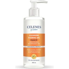 Universal Sea Buckthorn Yüz Yıkama Jeli Yağlı ve Karma Ciltler Için 250 ml