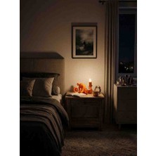 3D Ahtapot Gece Lambası 26X12CM Lamba Dahil