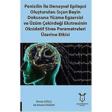 Universal Penisilin Ile Deneysel Epilepsi Oluşturulan Sıçan Beyin Dokusuna Yüzme Egzersizi ve Üzüm Çekirdeği Ekstresinin Oksidatif Stres Parametreleri Üzerine Etkisi
