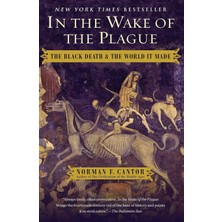 Universal In The Wake Of The Plague: The Black Death And The World It Made