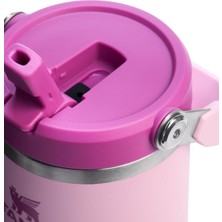 Fumeyabi Iceflow Flip Straw Tumbler Pipetli Termos Bardak, 0.89 Litre, Kiraz Çiçeği (Cherry Blossom)