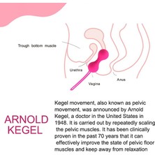 odea pureloveadult 3 farklı ağırlıkta ve boyutta medikal silikon kegel topları  sıkılaştırıcı set gizli kargo