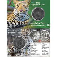 Emir Koleksiyon Coin & Paper Collection 2022 Hayvanlar Serisi Anadolu Leoparı 1 Kuruş Alüminyum Para Özel Kitinde