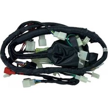 Mondial Sfc 50 Mini Elektrik Tesisatı Komple