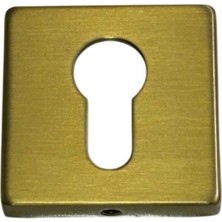 Elovias System Kare Yale Dış Kapı Kolu Rozeti Gold Branch Renk (RO11Y GB)