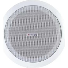 Hubrendy Sh Westa 20 cm Trafolu 8 Inc Beyaz 30 Watt Alçıpan Hoparlör WS-2035T