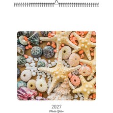 Genel Tedarik 2027 Deniz Kabukları Temalı A3 Duvar Takvimi Inkjet Fotoğraf Kağıdına Baskılı Spirallive Askılı