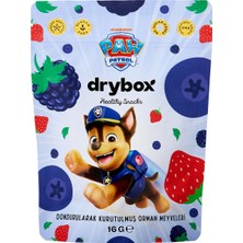 Drybox Paw Patrol Freeze Dried Dondurularak Kurutulmuş Orman Meyveleri 16 G - 4 Adet