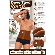 Herşey Trend Deve Tüyü Renk Orlon Korse – Unisex Bel ve Karın Destek Korsesi – M 1016 - Rylks