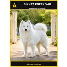 Ti Play Dikkat Köpek Var Samoyed Görselli Pvc Uyarı Levhası 35X50CM
