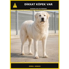 Ti Play Dikkat Köpek Var Akbaş Görselli Pvc Uyarı Levhası 50X70CM