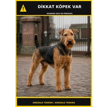 Ti Play Dikkat Köpek Var Airedale Terrier Görselli Pvc Uyarı Levhası 21X30CM